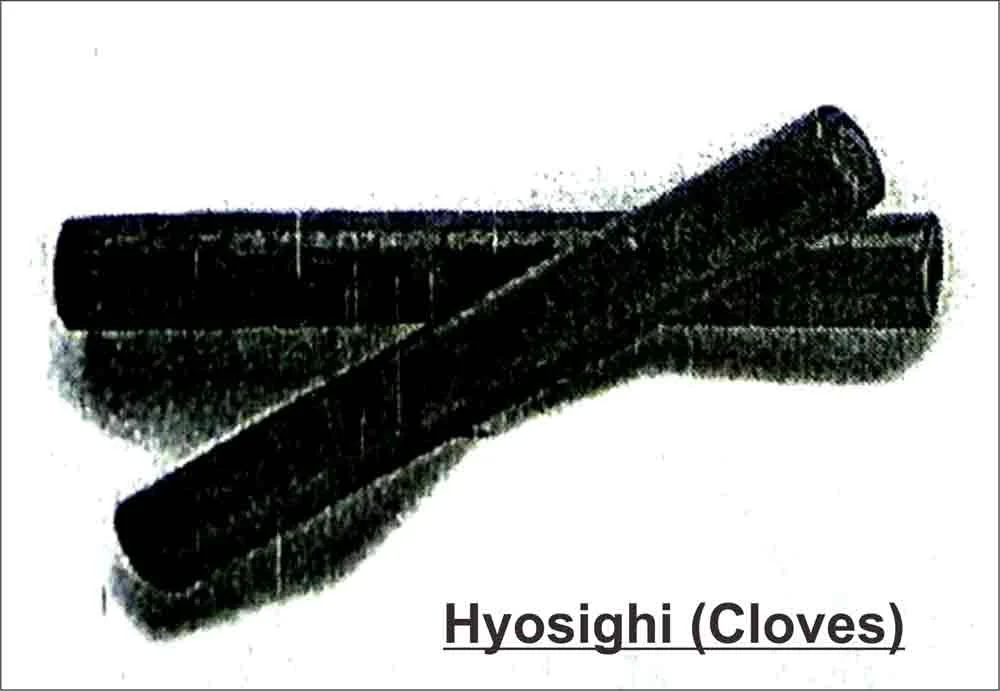 alat musik jepang hyosighi