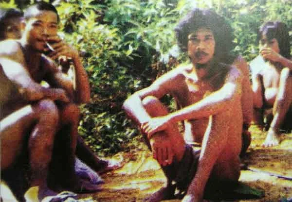 orang rimba di provinsi Jambi