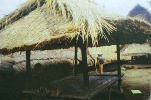 perkampungan tradisional suku sasak NTB