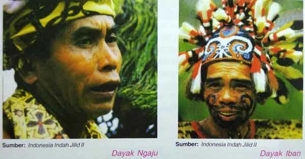 macam macam suku dayak kalimantan barat