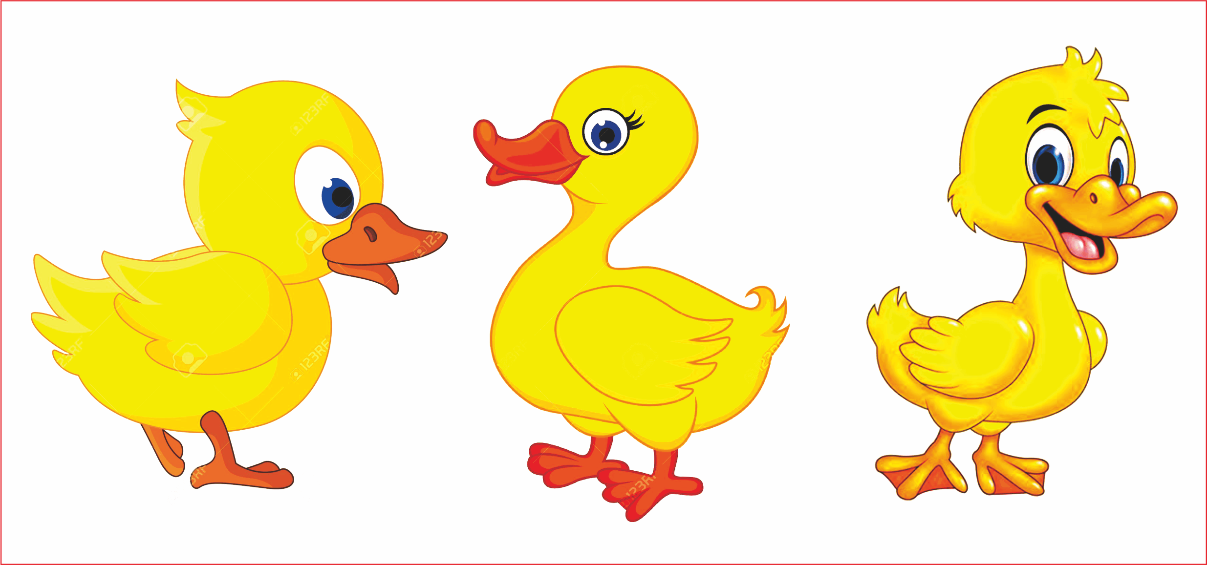 gambar bebek kartun gambar bebek kartun