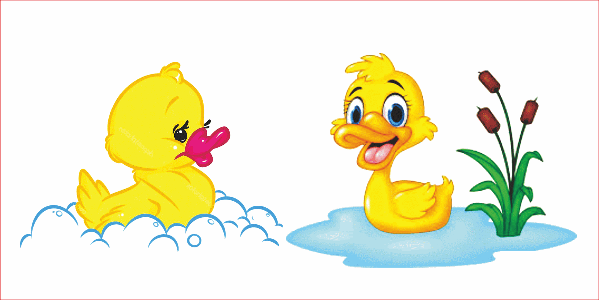 warna bebek warna bebek