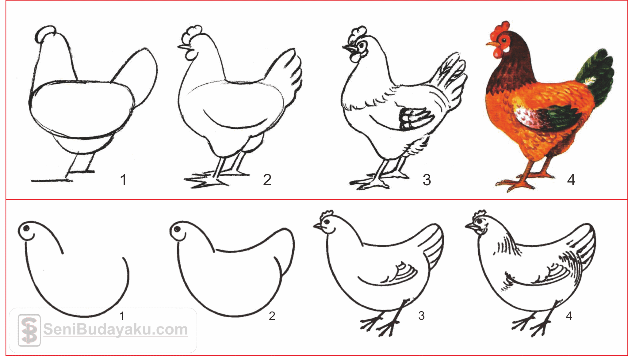 cara menggambar ayam betina dengan mudah cara menggambar ayam betina dengan mudah