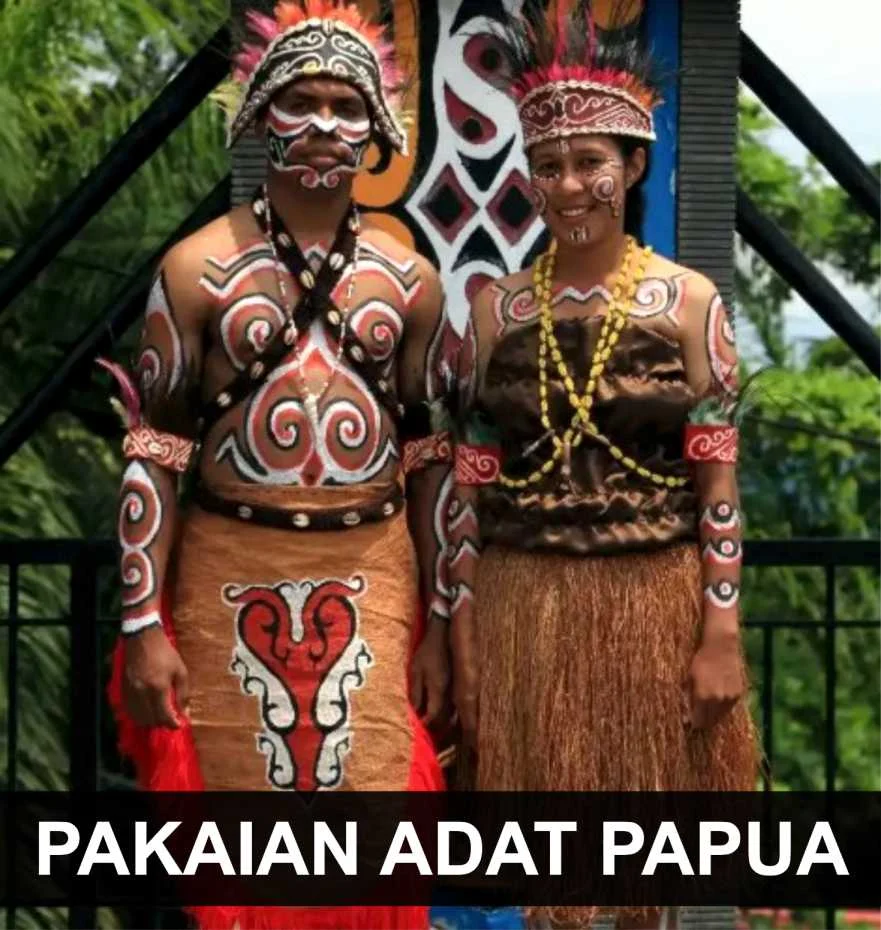 pakaian adat papua