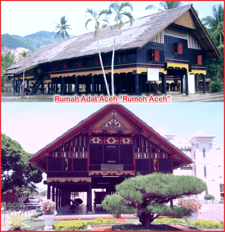 rumah adat aceh
