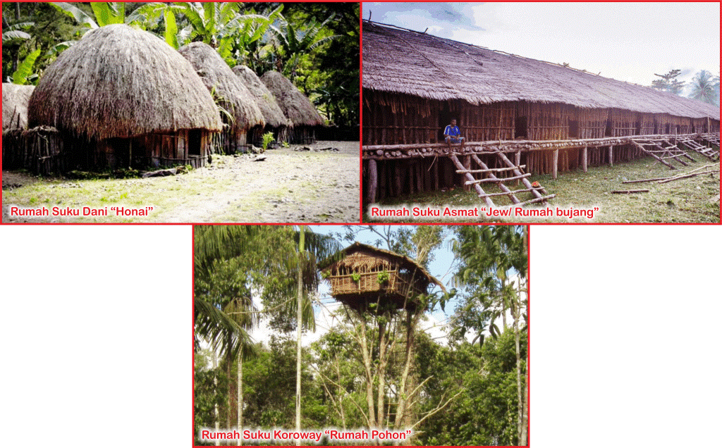rumah adat papua