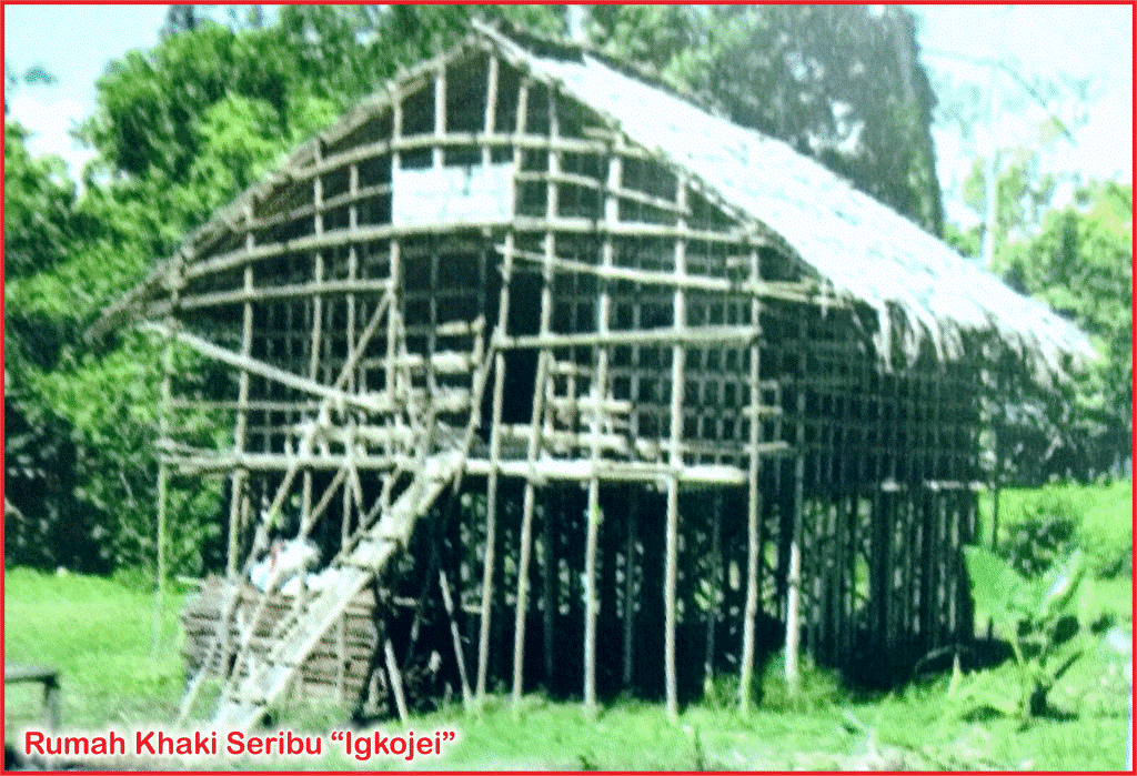 rumah kaki seribu suku arfak